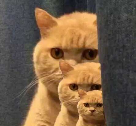 WechatIMG50.jpeg WechatIMG50.jpeg